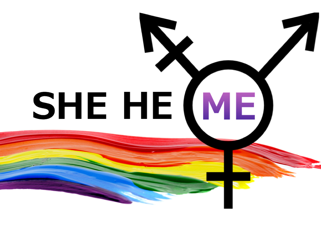 SHE HE ME by Amahl Khouri